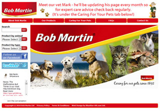 Web Design for Bob Martin