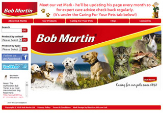 Web Design for Bob Martin Web Design for Bob Martin