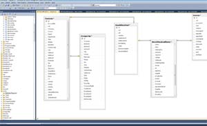 bespoke databases
