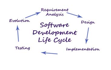 bespoke software development